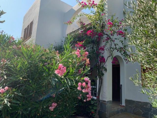 Apartment Maravilloso Playa-jardin Botanico In Vera Playa, Almeria Playas de Vera
